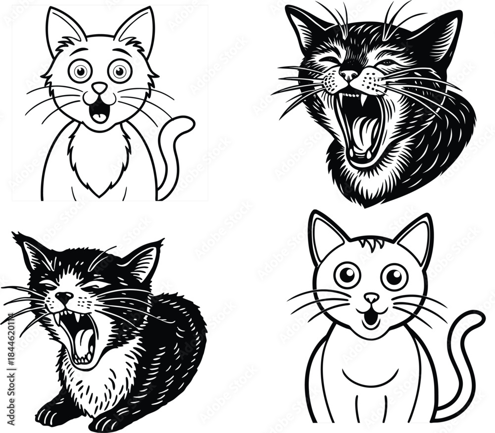 Obraz premium cat emotions 