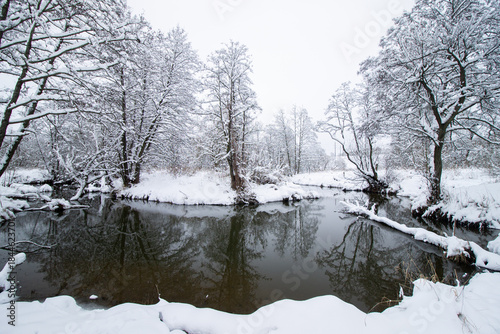 River in the winter forest