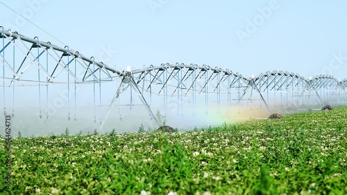 Automatic irrigation system (sprinkler system) that waters plants in a potato field.