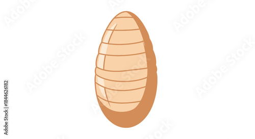 A cartoon illustration depicting a light brown oval shaped pupa or chrysalis
