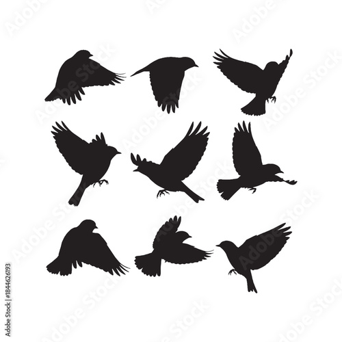 Εκτύπωση καμβά Flying Eastern Bluebird Silhouettes Collection,Flying Eastern Bluebird Silhouett