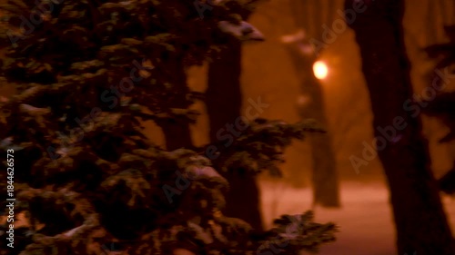 Fabulous view of the snow-covered city park at night, with trees in the snow, cozy warm light of lanterns.