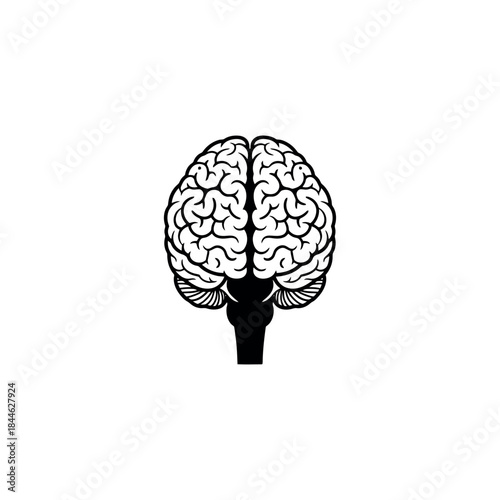 Anatomy Brain Stem Icon Silhouette