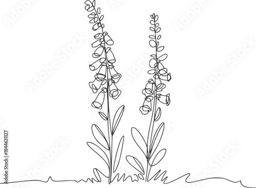 Εκτύπωση καμβά Minimalist black and white line of foxglove flowers