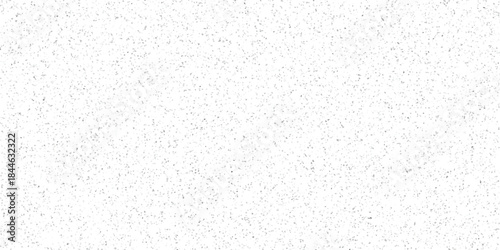 Fine Grain White And Grey Abstract Texture With Numerous Tiny Irregular Geometric Shapes Forming A Subtle Noise Pattern For Digital Design