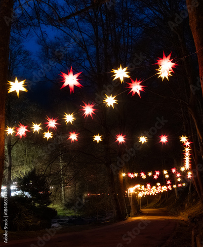 christmas tree with lights