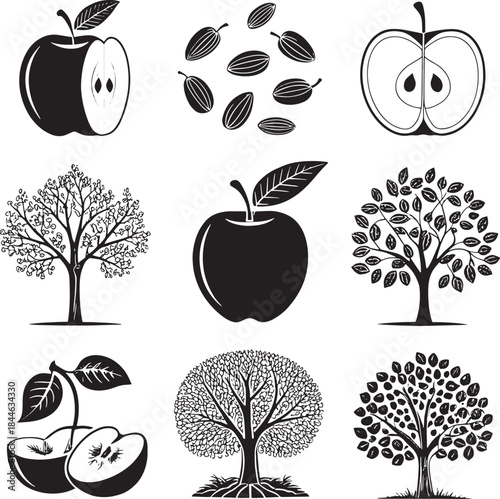 Black and white graphic icons of apples and trees with leaves and seeds fruit nature