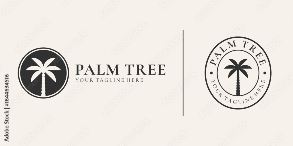 Obraz premium Elegant circular palm tree logo vector badge set