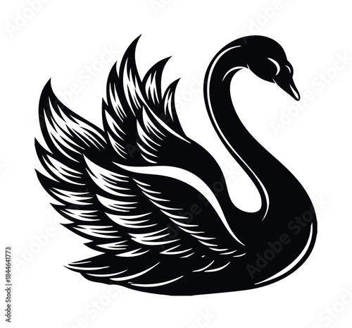 Swan black silhouette illustration Vector