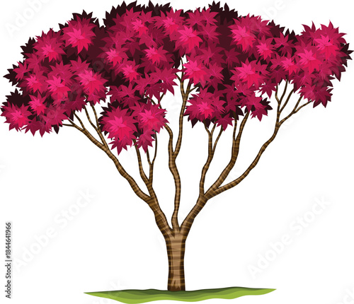 Vibrant red pink maple tree illustration vector