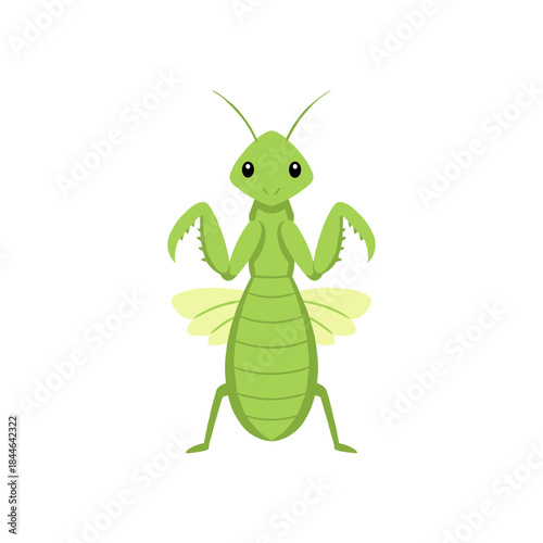 Cute Green Praying Mantis Insect Cartoon Vector Illustration with Folded Legs Isolated on White Background for Education