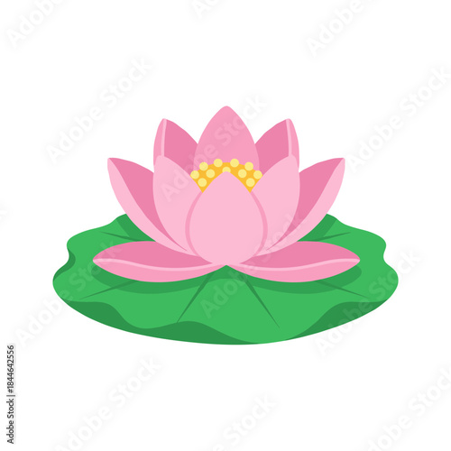Beautiful Pink Lotus Water Lily Flower on a Green Pad Vector Illustration Isolated on White Background for Peace and Zen
