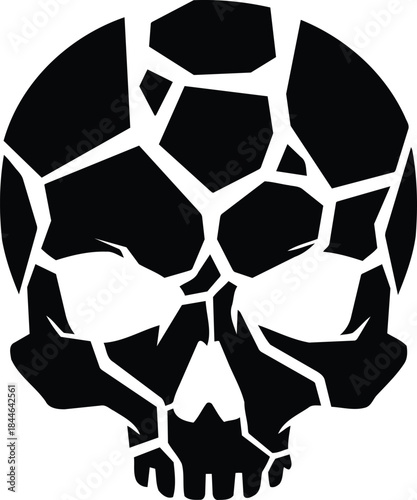 Abstract shattered skull design in black and white.