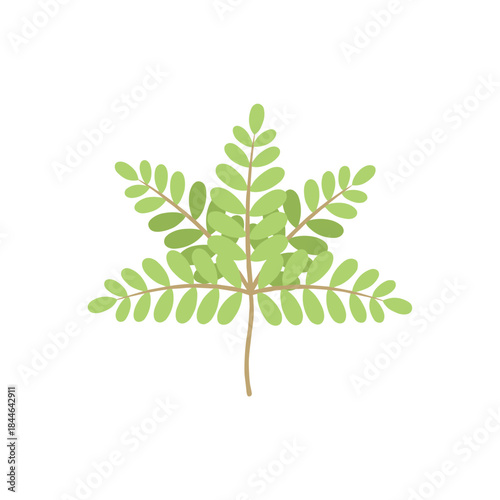 Simple green leaf and branch foliage minimalist cartoon vector illustration graphic design for botany and nature concept