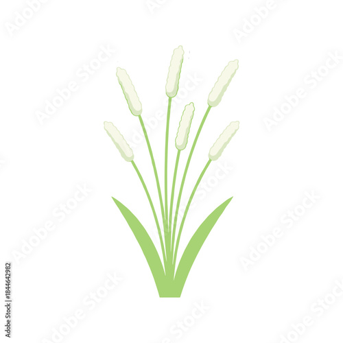 Simple Vector Illustration of Fresh Green Rice Plant or Paddy Grain Stalks with Leaves Isolated on a White Background for Agriculture and Food Concepts