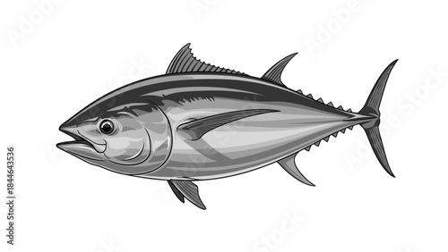 Illustration of a Tuna Fish Swimming in the Ocean.