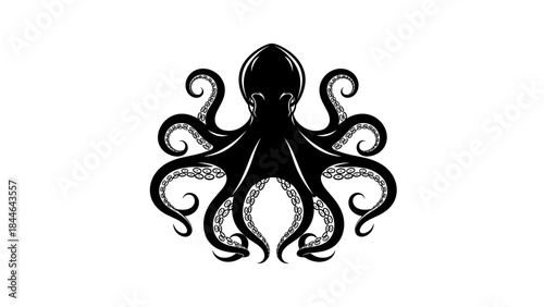 Intricate Octopus Outline Drawing with Detailed Tentacles.