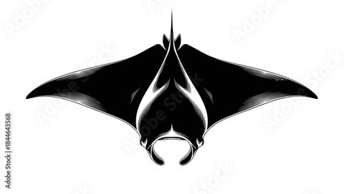 Manta ray silhouette isolated on a white background.