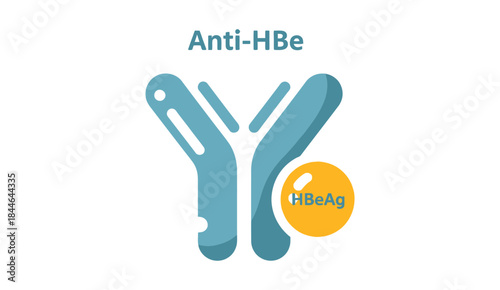 Immunology concept illustration showing Anti-HBe (Hepatitis B e-Antigen Antibody) antibody molecules in a blue-green Y shape binding to yellow circular e-Antigen (HBeAg) particles.