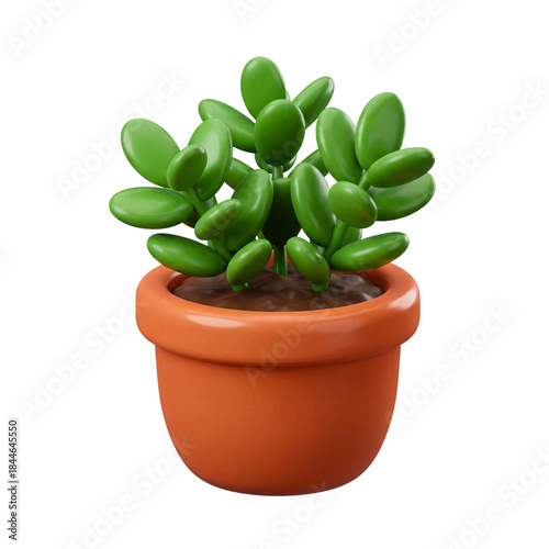 Green succulent plant in terracotta pot isolated on white background.