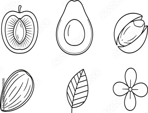 Set of Healthy Food and Nature Line Icons Vector Illustration Including Avocado Plum Almond and Flower.