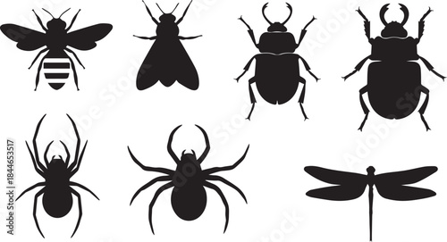Diverse insect silhouettes collection featuring bees beetles spiders and dragonfly for design