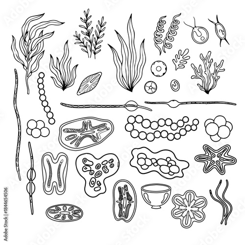 Solid black background