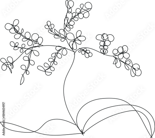 A delicate line drawing of a flowering plant with intricate details
