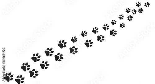 Diagonal line of black paw prints winds across a clean white background forming a playful trail that suggests movement and curiosity through space.