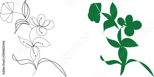 Vector illustration of a green plant with leaves and flowers in black and white