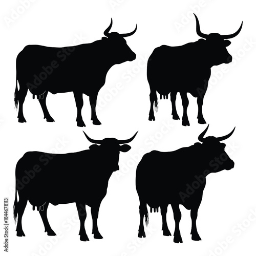 Silhouettes of four powerful bulls with curved horns displayed on white
