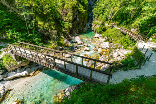 Serene wooden bridge crossing vibrant Tolmin Gorges in Slovenias lush Triglav National Park