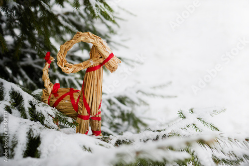 Straw Goat in Snowy Pines
