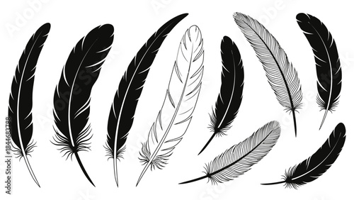 A simple vector illustration of a set of bird feathers and quill pens in a clean artistic style