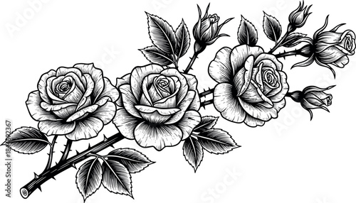 Black silhouette set of six diverse business people professionals in suits, standing and posing confidently, ideal for corporate teamwork, executive staff, management, and financial industry vector.