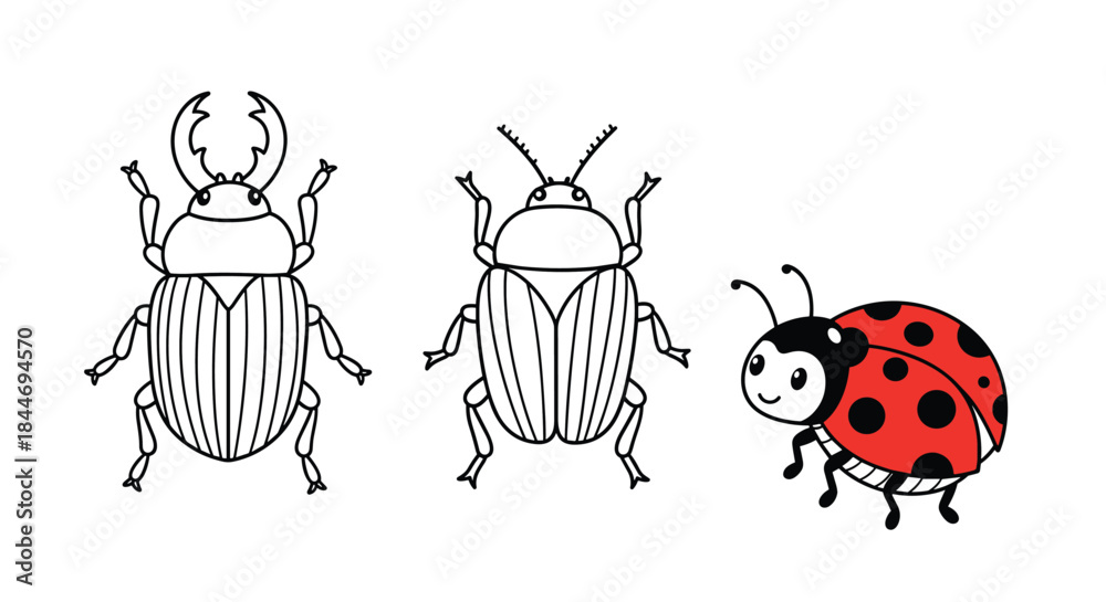 Fototapeta premium Two beetles and a friendly ladybug stand together on a white background highlighting insect shapes and patterns in a simple colorful line drawing style.