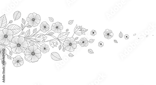 Intricate black and white line art floral border with large blossoms and slender stems stretching across the canvas to create an elegant decorative motif.