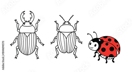 Two beetles and a friendly ladybug stand together on a white background highlighting insect shapes and patterns in a simple colorful line drawing style.