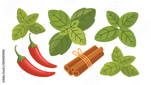 Fresh Basil Leaves and Spices Collection