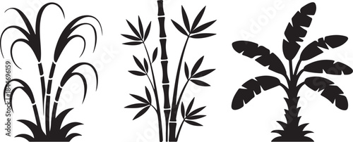 Tropical plants sugarcane bamboo and banana leaves clean silhouette vector illustrations