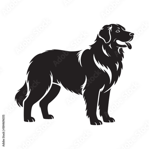 A striking black and white silhouette depicts a majestic long haired dog standing in profile showcasing its elegant posture and features