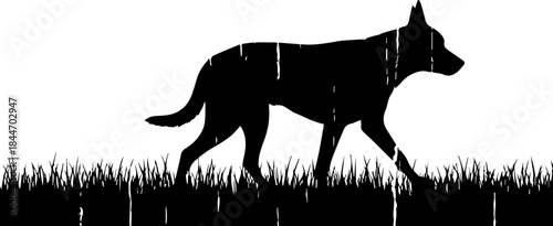 Striking silhouette of a German Shepherd dog walking through tall grass, evoking a sense of freedom and nature, perfect for pet-related designs and branding