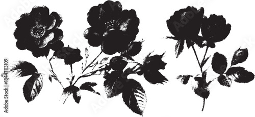 Rose flower illustration in black silhouette style featuring petals and leaves. This elegant botanical design is a minimalist vector set.