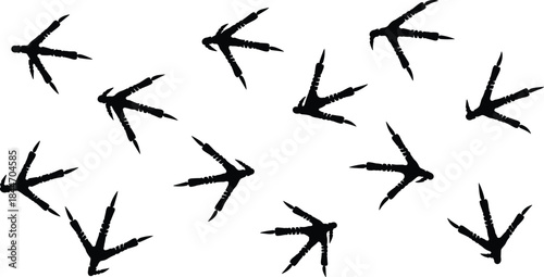 Bird and Chicken Footprints Silhouette Vector Set: Multiple Paw Tracks of Poultry and Wild Birds for Nature, Wildlife, and Farm Animal Graphics