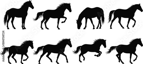 Eight Detailed Silhouettes of Galloping and Standing Horses in Various Dynamic Poses, Ideal for Farm, Nature, and Equestrian Sport Vector Graphics.