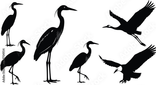 Set of bird silhouettes featuring herons, cranes, and flying eagle, isolated vector illustration for nature, wildlife, and wilderness concepts.