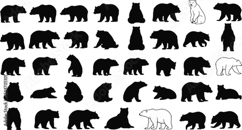 Wild Bear Silhouette Vector Set: Dynamic Poses of Grizzly, Black, and Polar Bears Standing, Sitting, and Walking for Wildlife and Nature Graphics