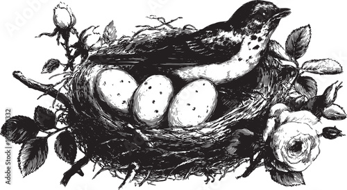 A bird in a nest with eggs and flowers. This detailed black and white vector illustration showcases a natural scene in classic style.