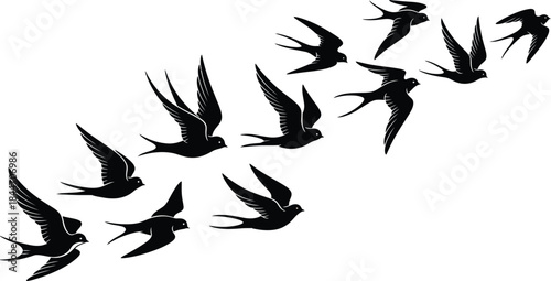 Scattered white dots pattern isolated on transparent background