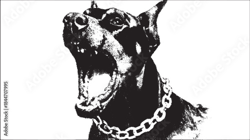 Dog breed with a barking expression. Black and white graphic illustration featuring a muscular head with an open mouth. Vector art set.